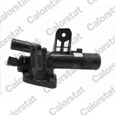 Thermostat, coolant